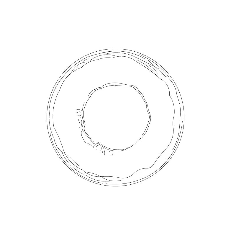 Nordic Round Design Ceto Glass Wall Light