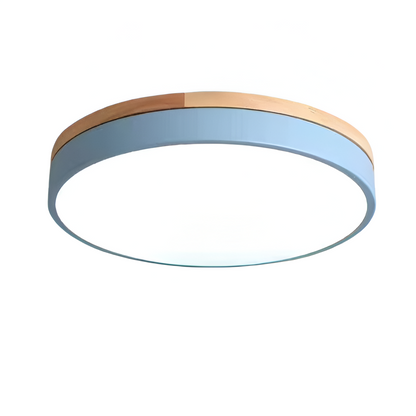 Nordic LED Round Flush Acrylic Minimalist Ceiling Light
