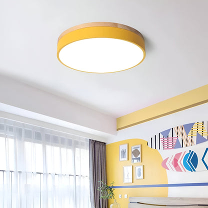 Nordic LED Round Flush Acrylic Minimalist Ceiling Light
