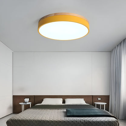 Nordic LED Round Flush Acrylic Minimalist Ceiling Light