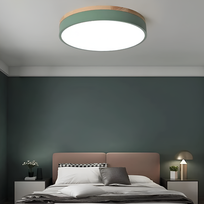 Nordic LED Round Flush Acrylic Minimalist Ceiling Light