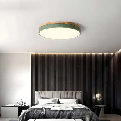 Nordic LED Round Flush Acrylic Minimalist Ceiling Light