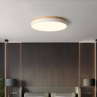 Nordic LED Round Flush Acrylic Minimalist Ceiling Light