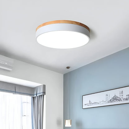 Nordic LED Round Flush Acrylic Minimalist Ceiling Light