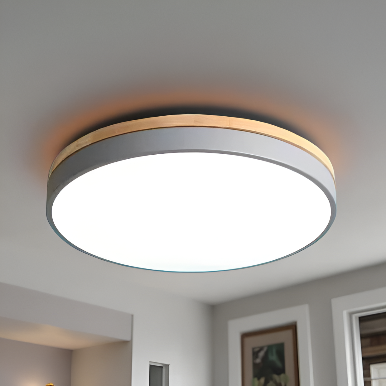 Nordic LED Round Flush Acrylic Minimalist Ceiling Light