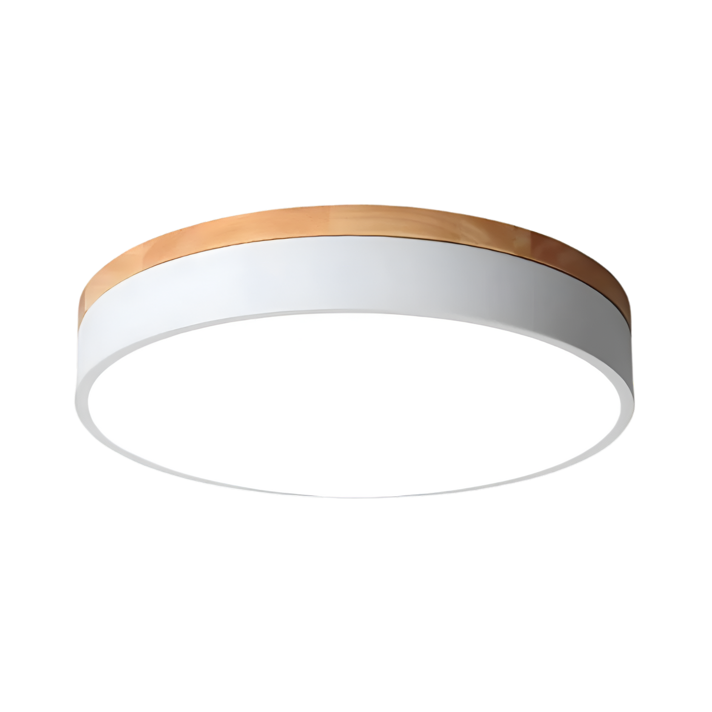 Nordic LED Round Flush Acrylic Minimalist Ceiling Light